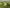 - Gamstvej 34, Gamst