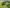 - Gamstvej 34, Gamst