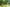 - Gamstvej 34, Gamst