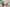  - Hornelund 59, Horne