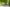 - Hornelund 59, Horne