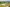- Gettrupvej 14, Grene