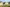 - Gettrupvej 14, Grene