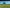  - Billundvej 40, Ringive