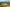 - Gettrupvej 14, Grene