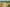 - Gettrupvej 14, Grene