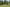 - Gettrupvej 14, Grene