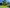  - Billundvej 40, Ringive