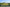 - Gettrupvej 14, Grene