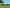  - Billundvej 40, Ringive