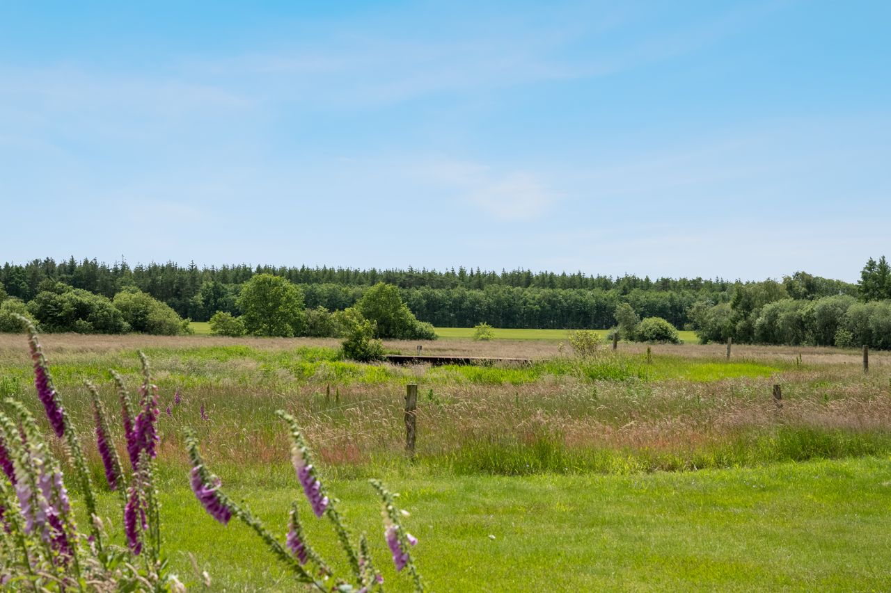 image 02