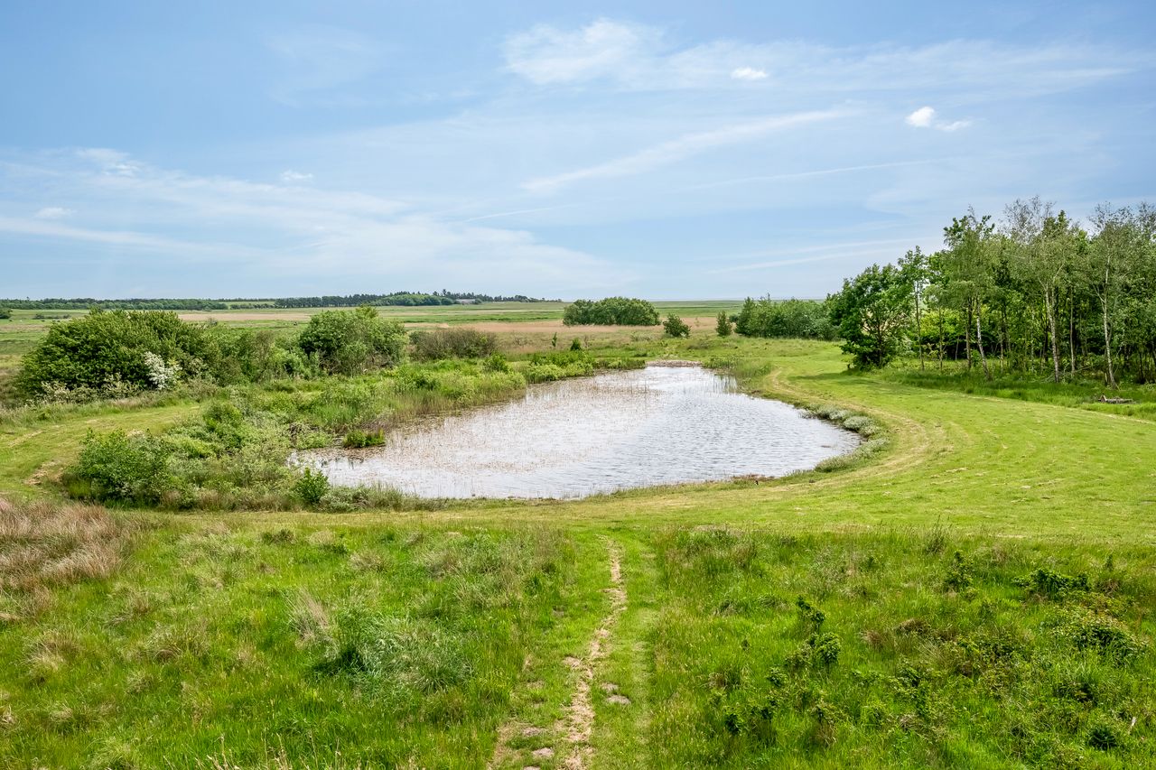 image 03