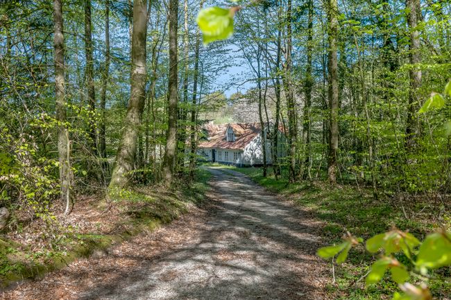 Bølling Skovvej 23, 6064 Jordrup