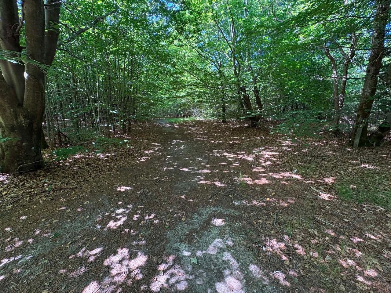 image 04