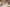  - Hornelund 59, Horne