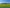  - Billundvej 40, Ringive