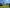  - Billundvej 40, Ringive