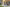 - Gettrupvej 14, Grene