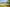  - Hornelund 59, Horne