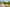  - Hornelund 59, Horne