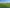  - Billundvej 40, Ringive