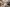  - Hornelund 59, Horne