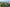 - Gettrupvej 14, Grene
