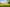  - Hornelund 59, Horne