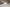  - Hornelund 59, Horne